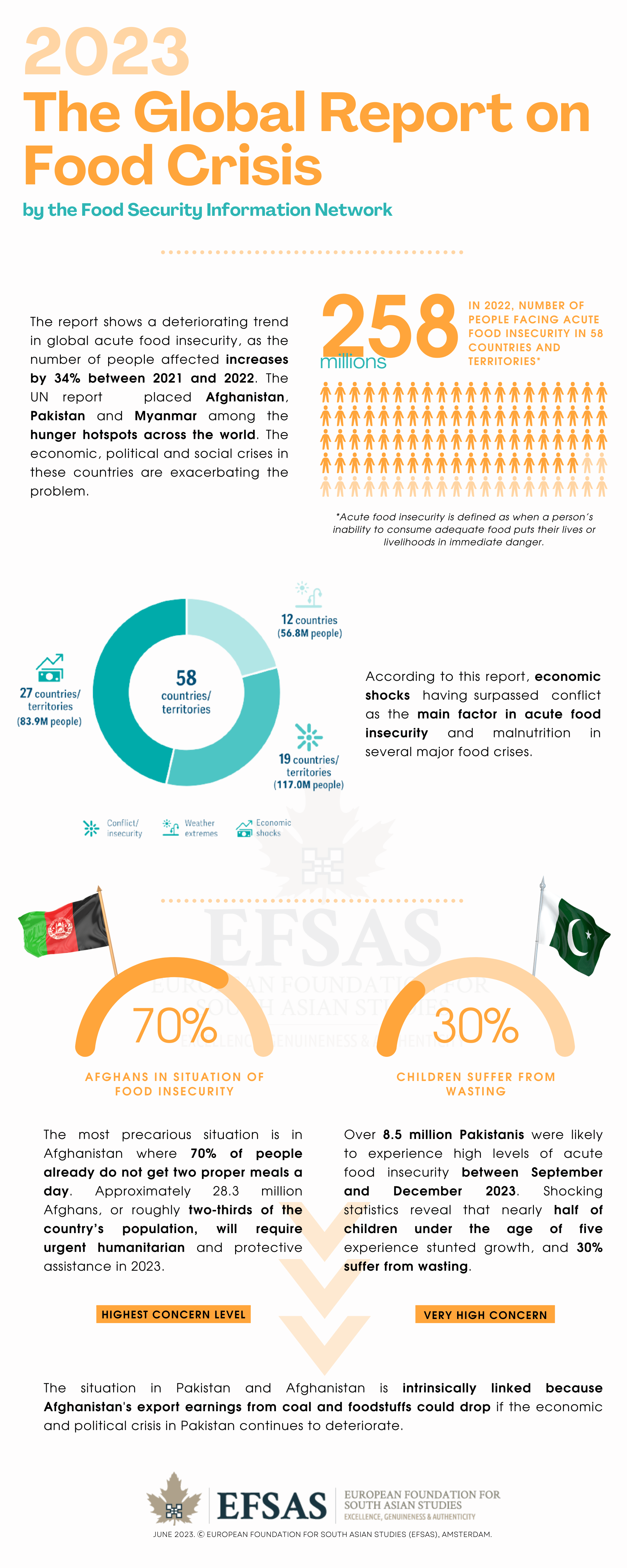 Global Report on Food Crisis EFSAS